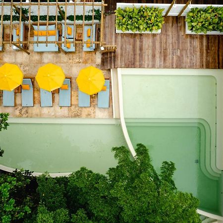 Cafe Jeri Hotel Jijoca de Jericoacoara Bagian luar foto The rooftop pool at the hotel